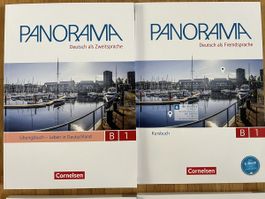 Panorama German B1 Coursebook & Workbook - Excellent!