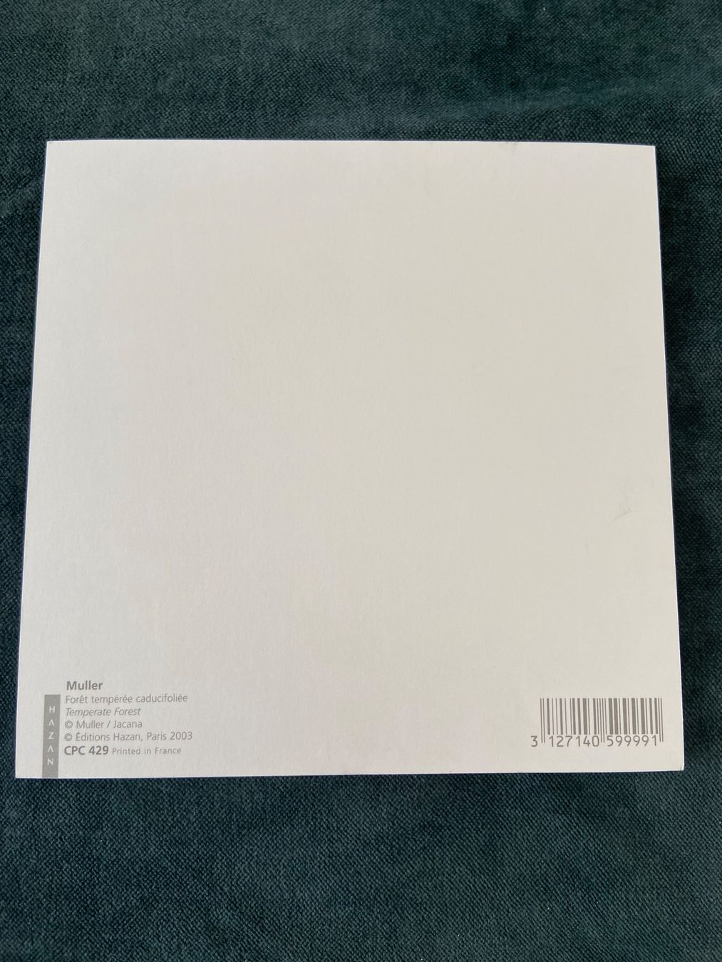 Cartoline postali: Ak quadratisch neu Birken – Nuovo (secondo la descrizione) da Luzern venduto da waterfront1 1