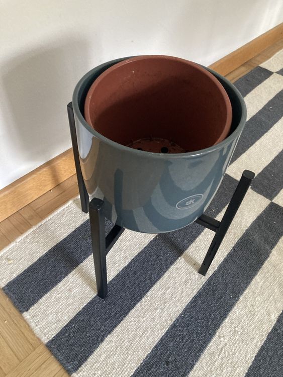 Rollbrett Für Blumentöpfe – 20x20 Cm Aus Verdicktem Holz Mit Rädern, Zum Leichten Bewegen Von Pflanzen