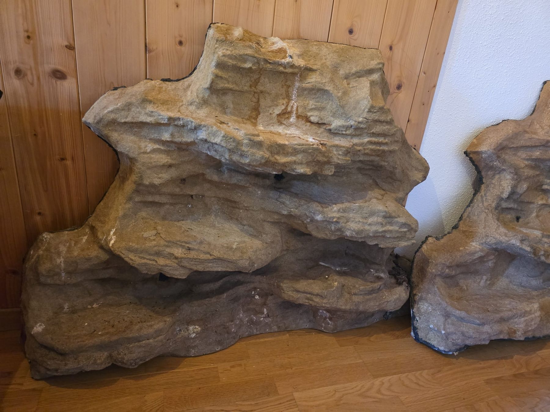 Terrariums: Terrarium Rückwände – D'occasion à Kirchberg SG par Viperline 2