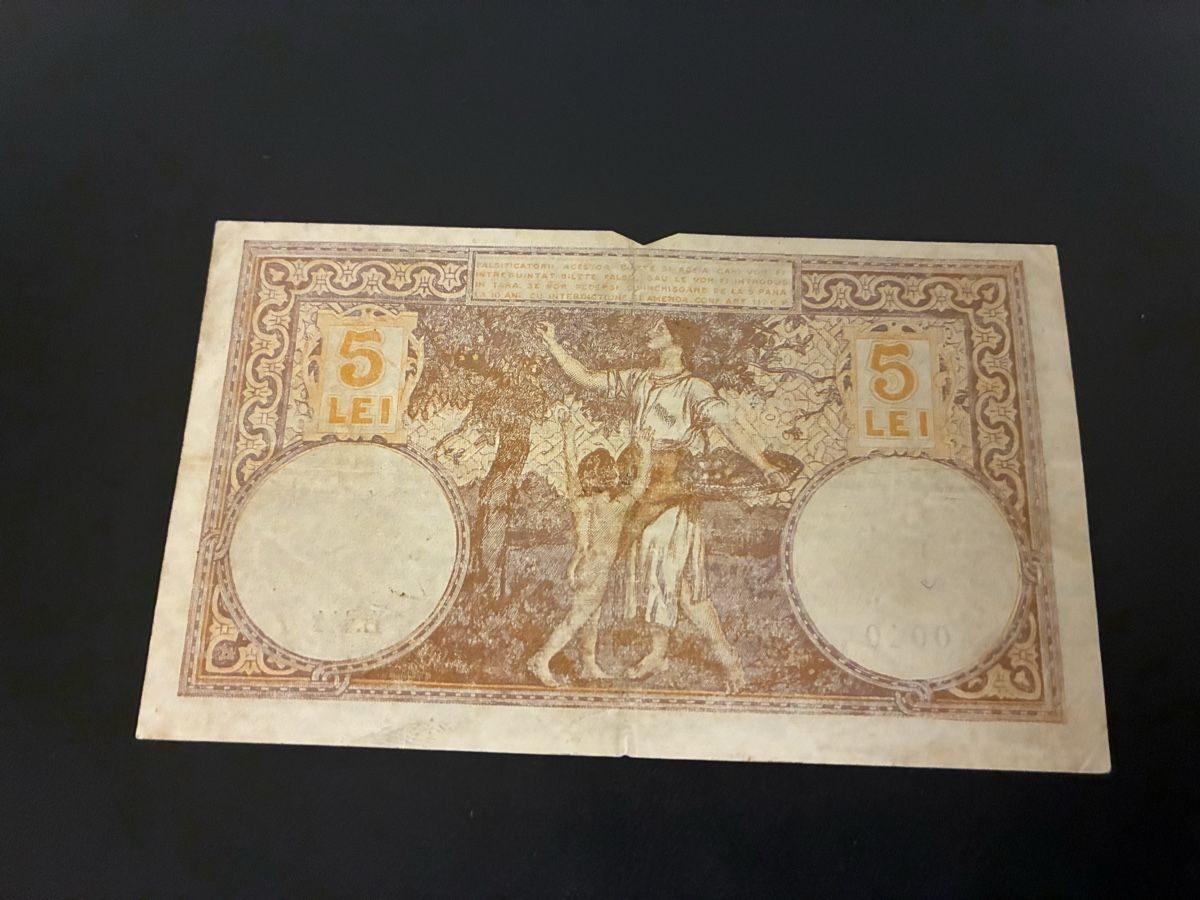 Banconote: Romania 5 lei 1917 – Usato da Dällikon venduto da Woldbanknoten 2