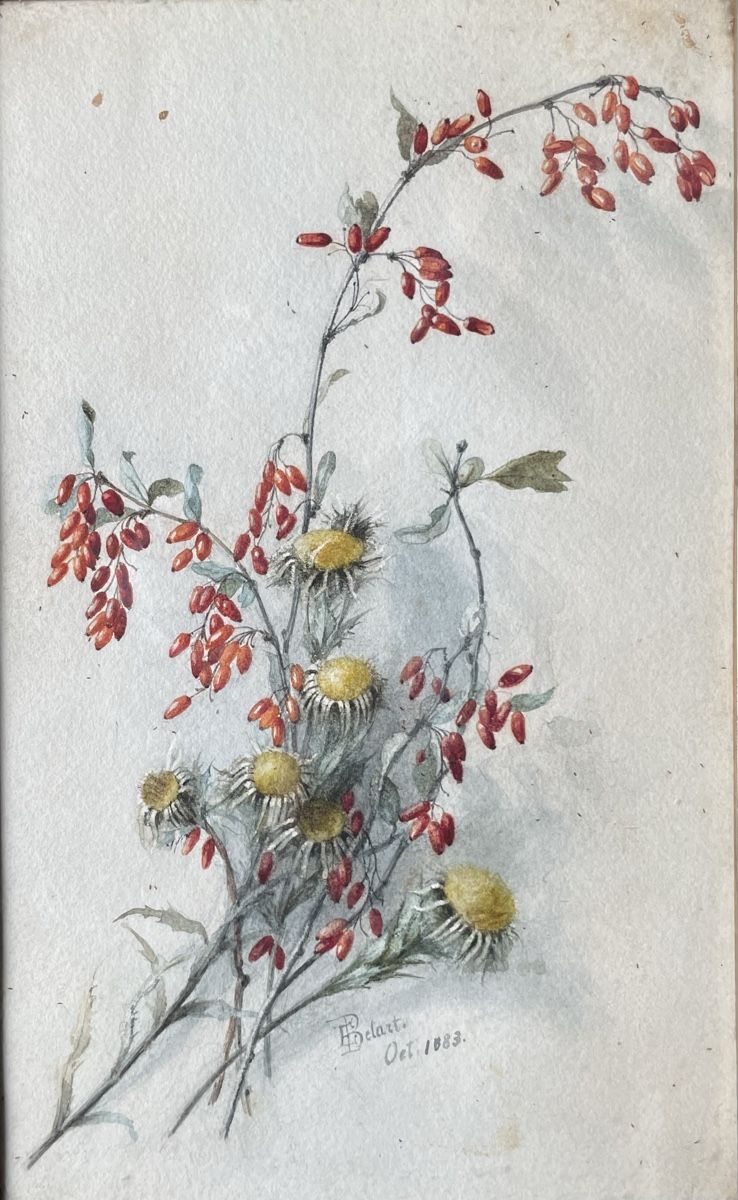 Dipinti: Emmy Belart Aquarell Blumen – Usato da Biel/Bienne venduto da Galaq