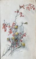 Emmy Belart Aquarell Blumen
