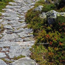 Profile image of wanderlaedeli