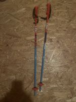 Skistock