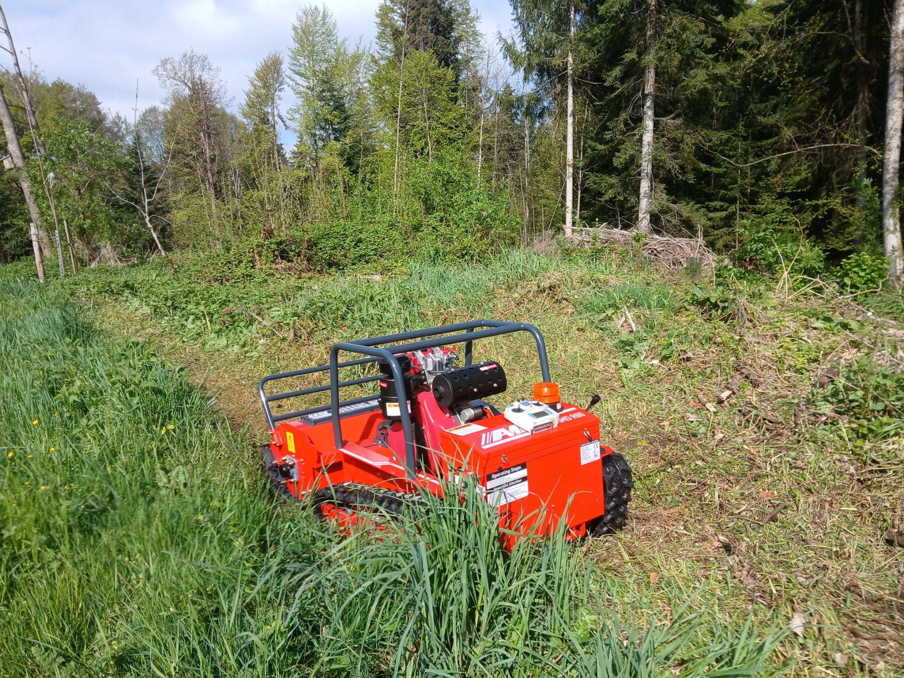 Tutte le macchine: Raupen Mulcher Funkgesteuert – Nuovo (secondo la descrizione) da Oberuzwil venduto da simon9242 4