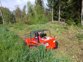 Raupen Mulcher Funkgesteuert