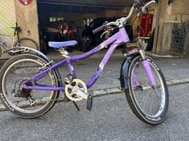 Kinderfahrrad Velo Specialized lila gebraucht 20 zoll