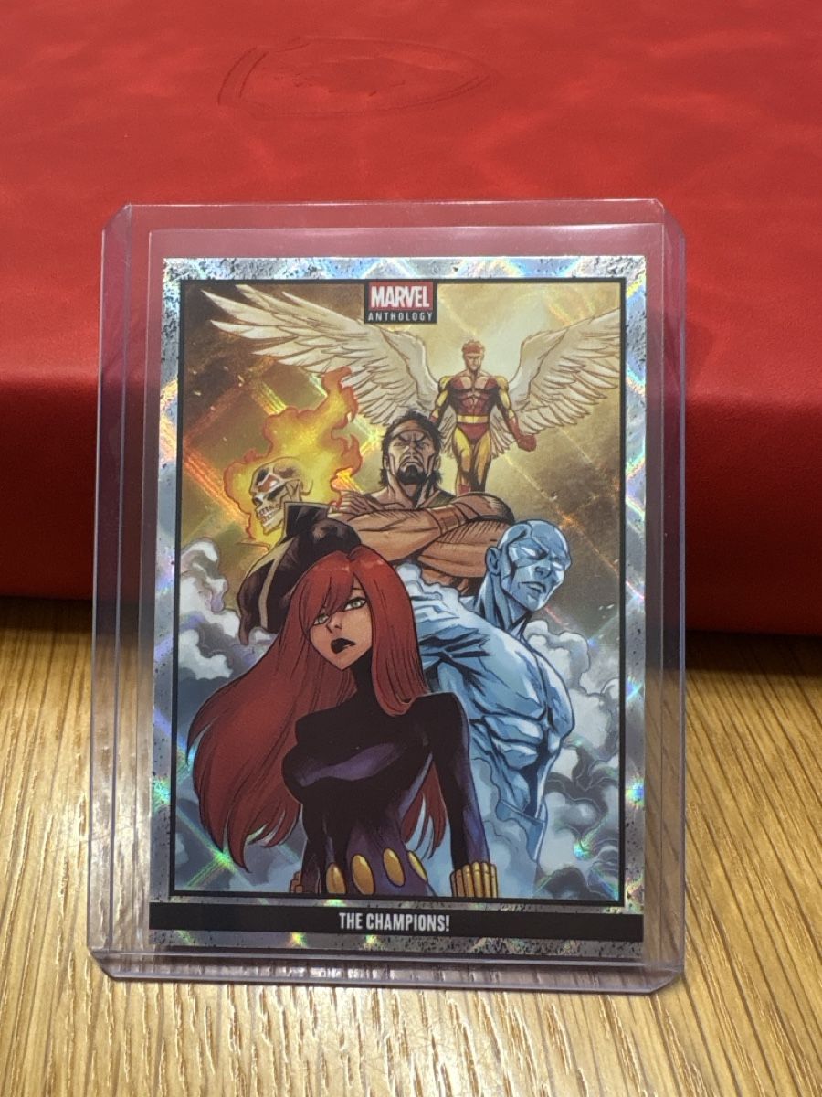 Panini Sammelbilder & Trading cards: Marvel Anthology The Champions! – Neu (gemäss Beschreibung) aus Boningen von Stef_1991