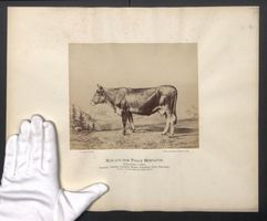 Fotografie Internationale Landwirtschaft