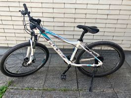 Damen Velo