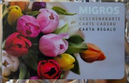 M Geschenkkarte Tulpen