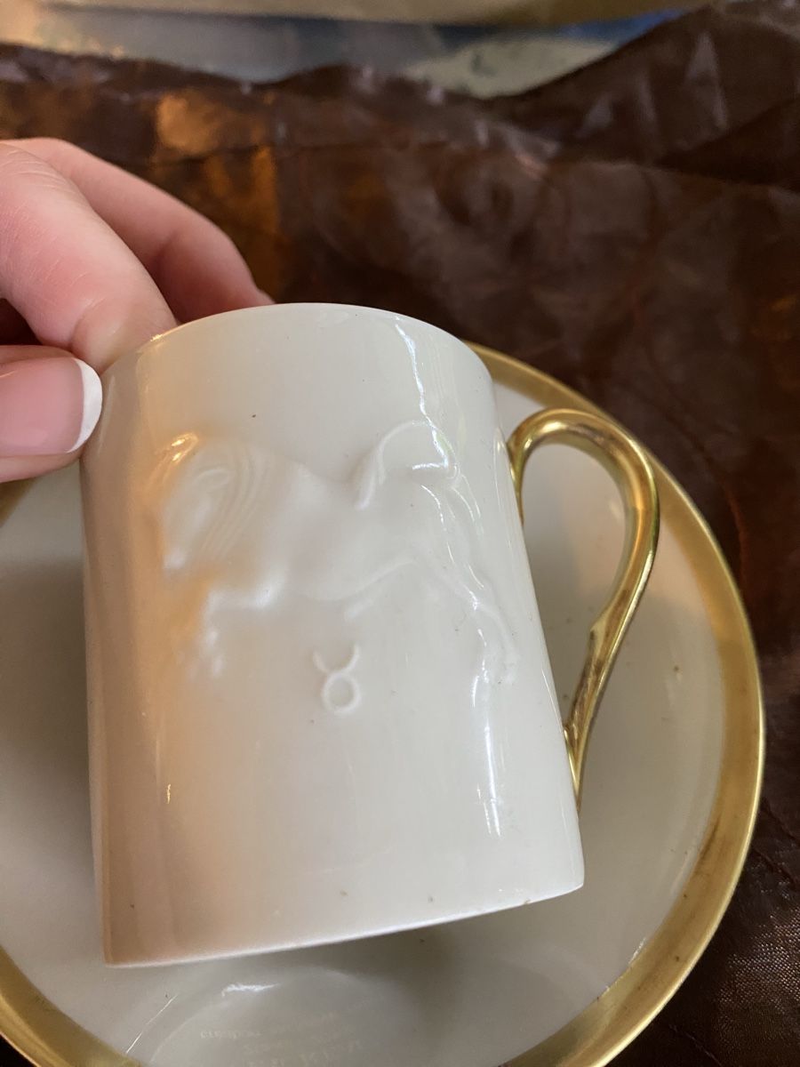 Set di piatti: Edle Tasse mit Untersetzer – Usato da Murgenthal venduto da anmedlung 1