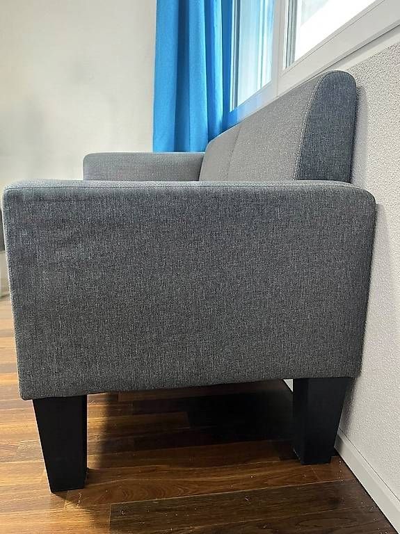 Divani: 2-Sitzer Sofa Grau – Usato da Wasterkingen venduto da ErZozzo 4