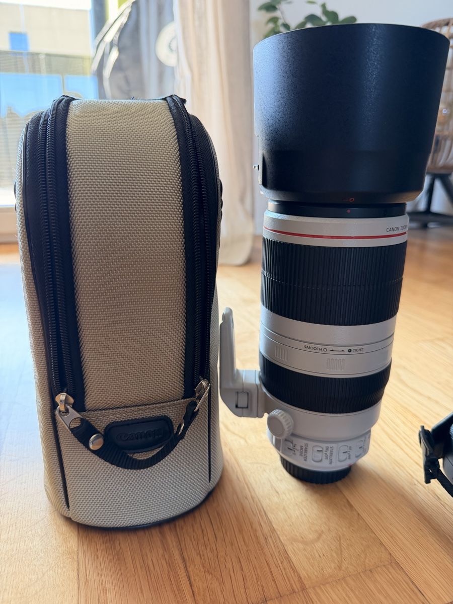 Canon Fotocamera: Perfektes Einsteiger-Komplettset - Canon EOS 5D Mark IV – Usato da Sursee venduto da ste_zr96 7
