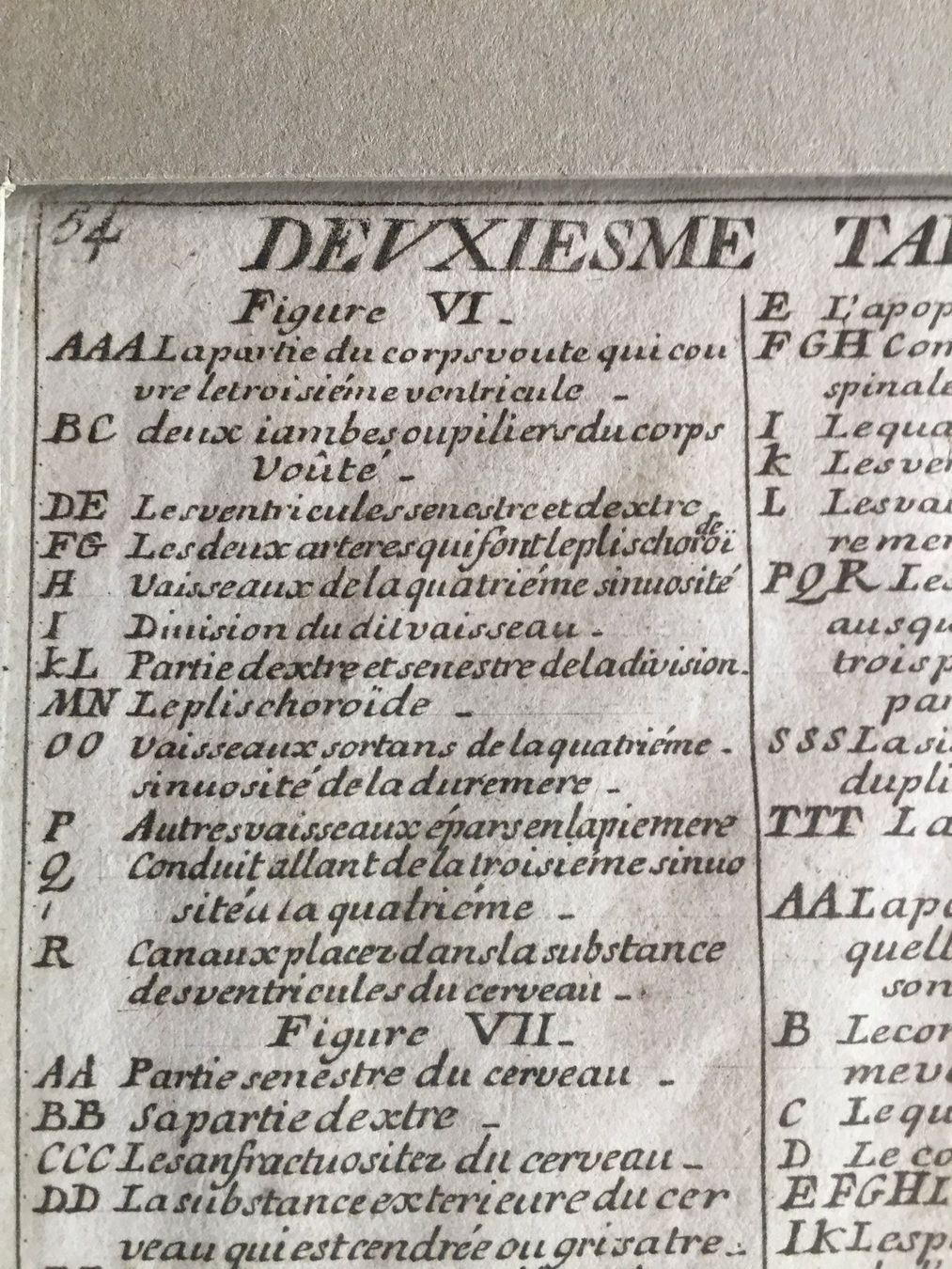 Stiche: Anatomie Selten ORIGINAL – Gebraucht aus Trachslau von post35 4