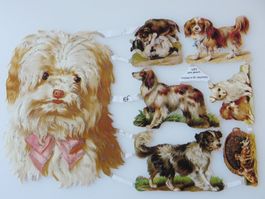 VINTAGE HUNDE GLANZBILDER POESIE-ALBUM OBLATEN, W.GERMANY