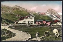 Maloja, Kulm-Hotel mit Kühen auf der We