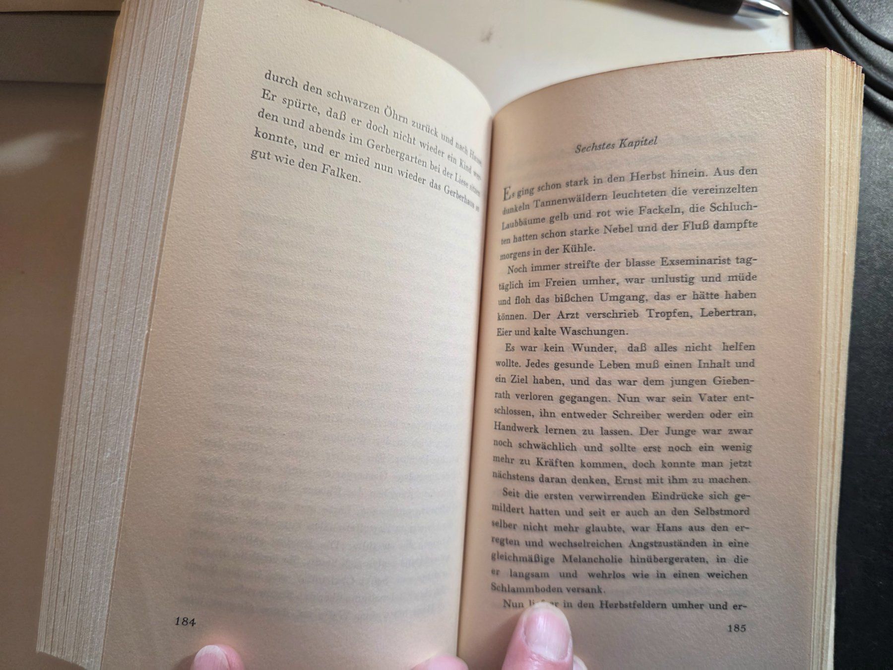 Libri: Hermann Hesse - Unterm Rad - Roman 1951 – Usato da Walterswil BE venduto da Lonitti 6