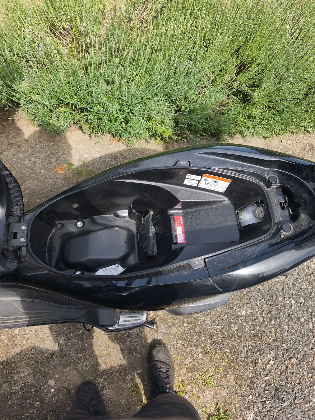 Honda Strada: Honda PCX 125 – Usato da Belp venduto da and_6786 4