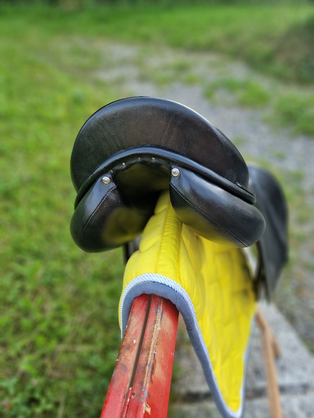 Selle & Accessori: Röösli "Free Allrounder" Sattel – Usato da Unterkulm venduto da baghira2004 3