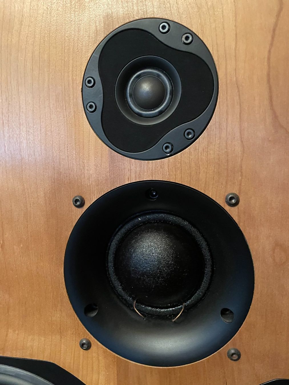 Casse acustiche: Wilmslow SM210 Speakers with ATC Midrange Driver – Usato da Basel venduto da blonaen 3