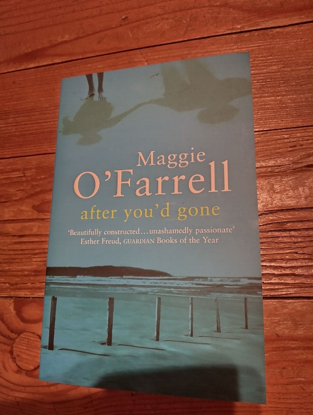 Libri: after you'd gone – Nuovo (secondo la descrizione) da Rüedisbach venduto da aendu010