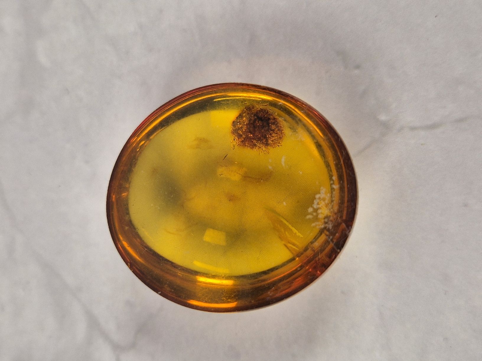 Minerali & Pietre curative: Cabochon en ambre baltique – Nuovo (secondo la descrizione) da Sugnens venduto da Madteus82 2