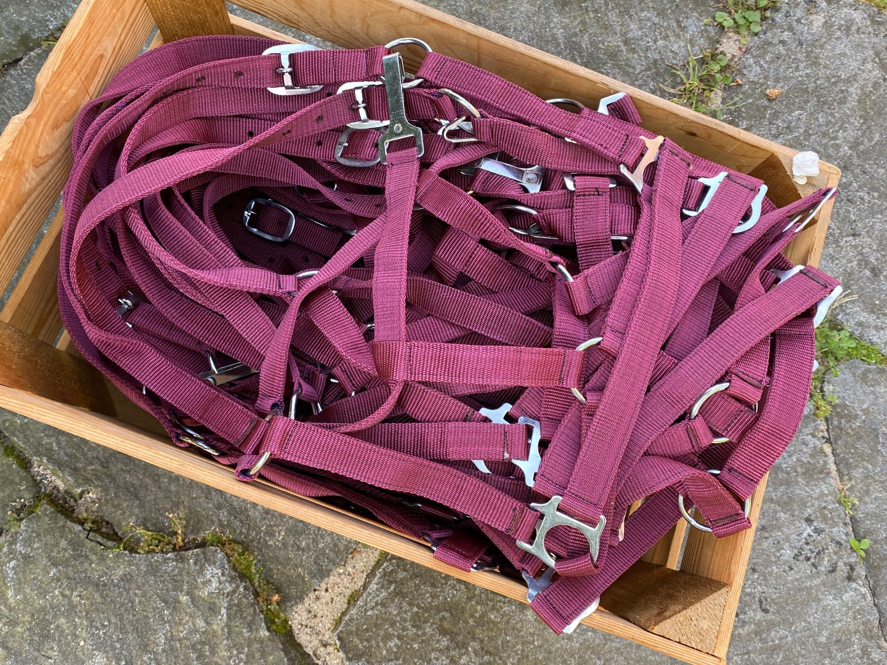 Kutschen: 50 schöne Nylonhalftern – Neu (gemäss Beschreibung) aus Feldbach von Fea1 3