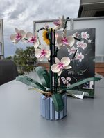LEGO Orchid 10311 Botanical Collection Bauset, neuwertig