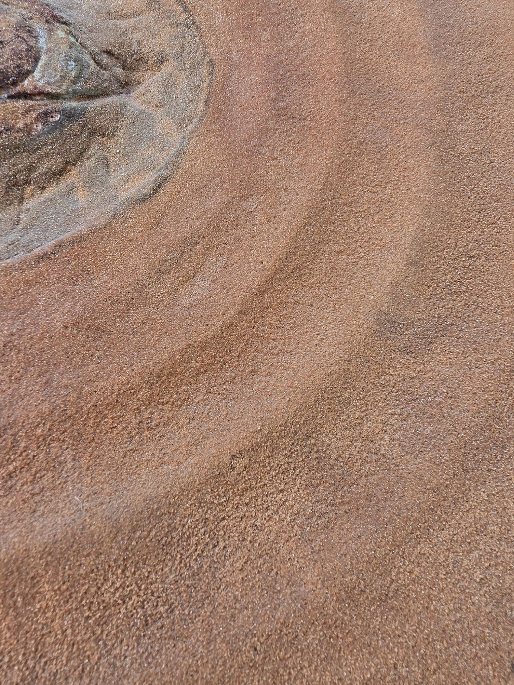 Gemälde: Bild "Auge" signiert B. Kiefer 80  – Gebraucht aus Mettlen von elios0888 7