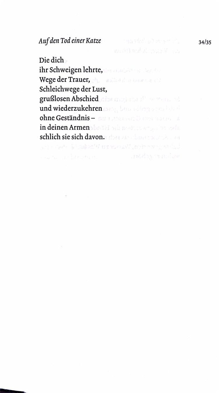 Libri: Neumann Peter Horst, Die Erfindung der Schere - Gedichte – Nuovo (secondo la descrizione) da Sarnen venduto da Livres 4