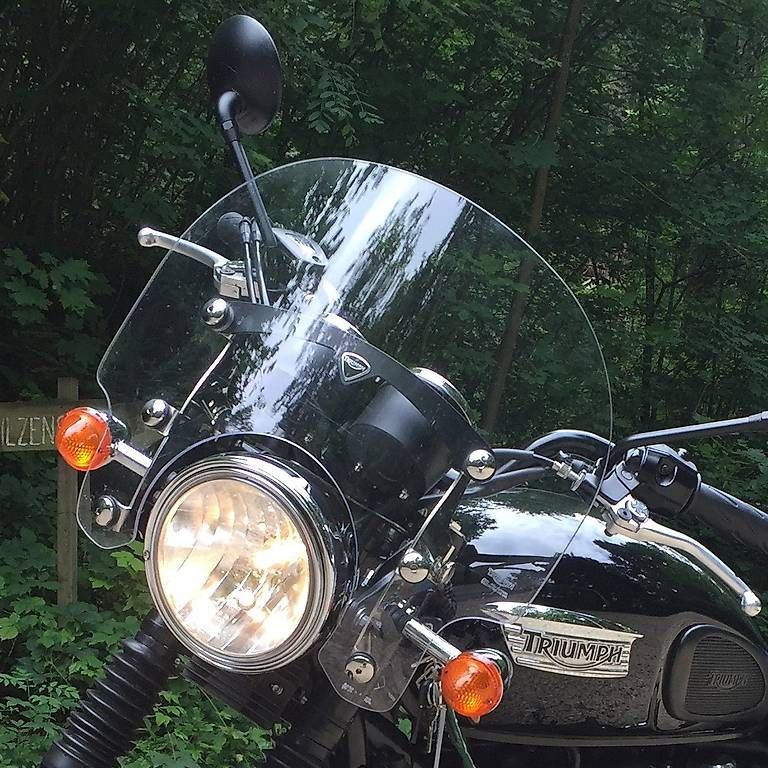 Triumph Tutti i ricambio per moto: TRIUMPH Windschild (Windschutzscheibe) – Usato da Olten venduto da r.borer 1