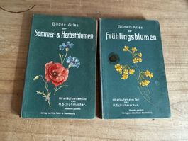 Bilder Atlas Sommer Herbst Frühlingsblumen 2 Bände