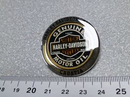 PIN PINS HARLEY DAVIDSON HOG ABZEICHEN CHAPTER