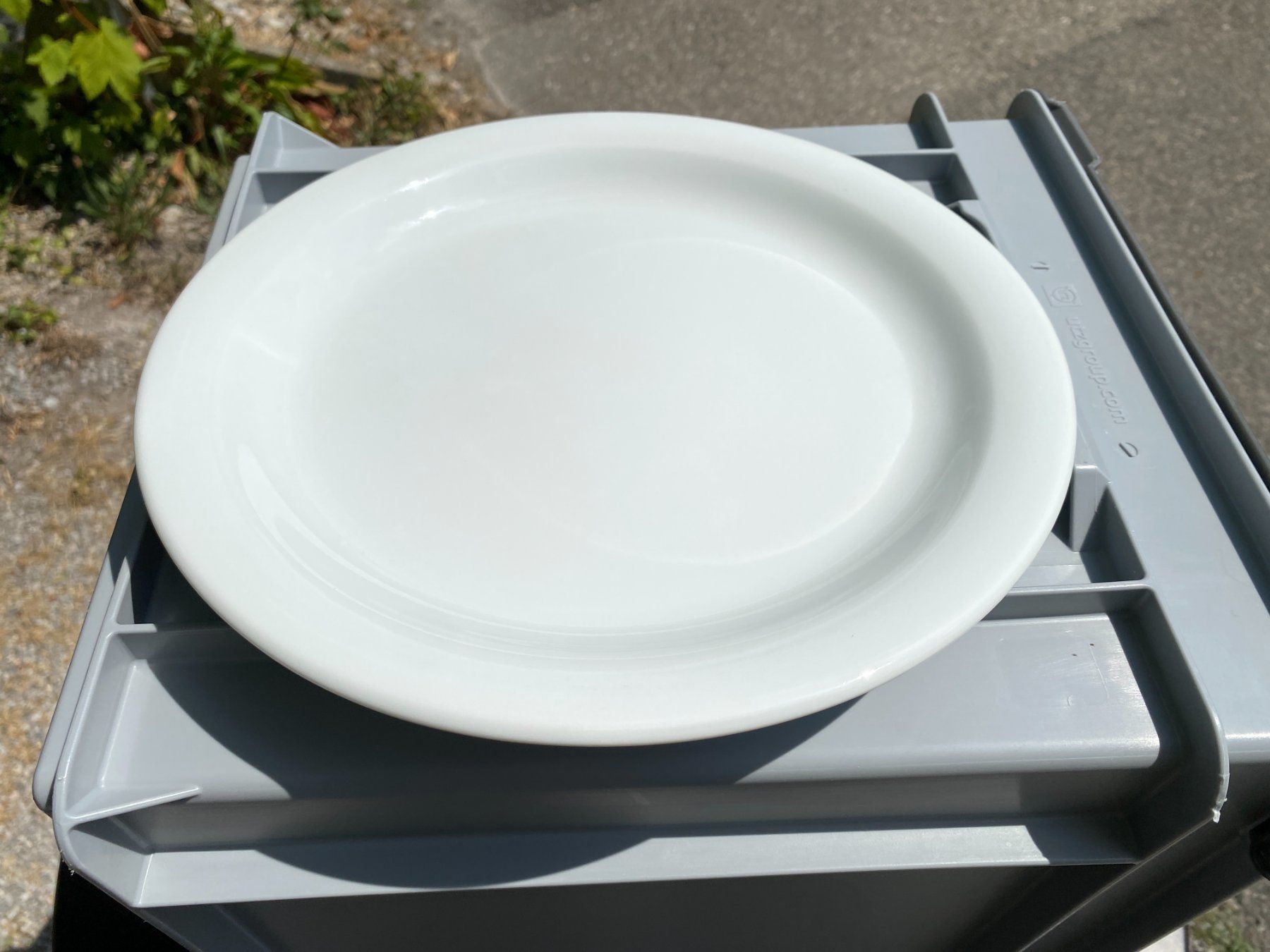 Teller: Langenthal E2 Teller 30 Stk inkl. UTZ Box – ab CHF 5.– – Gebraucht aus Fislisbach von Hape40