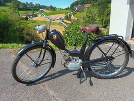 Sachs Mammut
