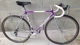 Pinarello Stahl-Rennvelo, Stadt-Renner, 53 cm, 16-Gang
