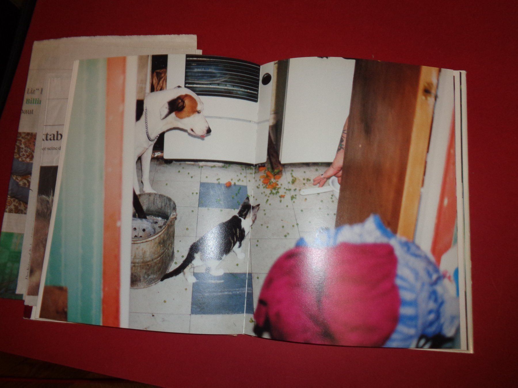 Livres: RICHARD Billingham Ray is`n Witz – D'occasion à Welschenrohr par Regool 8