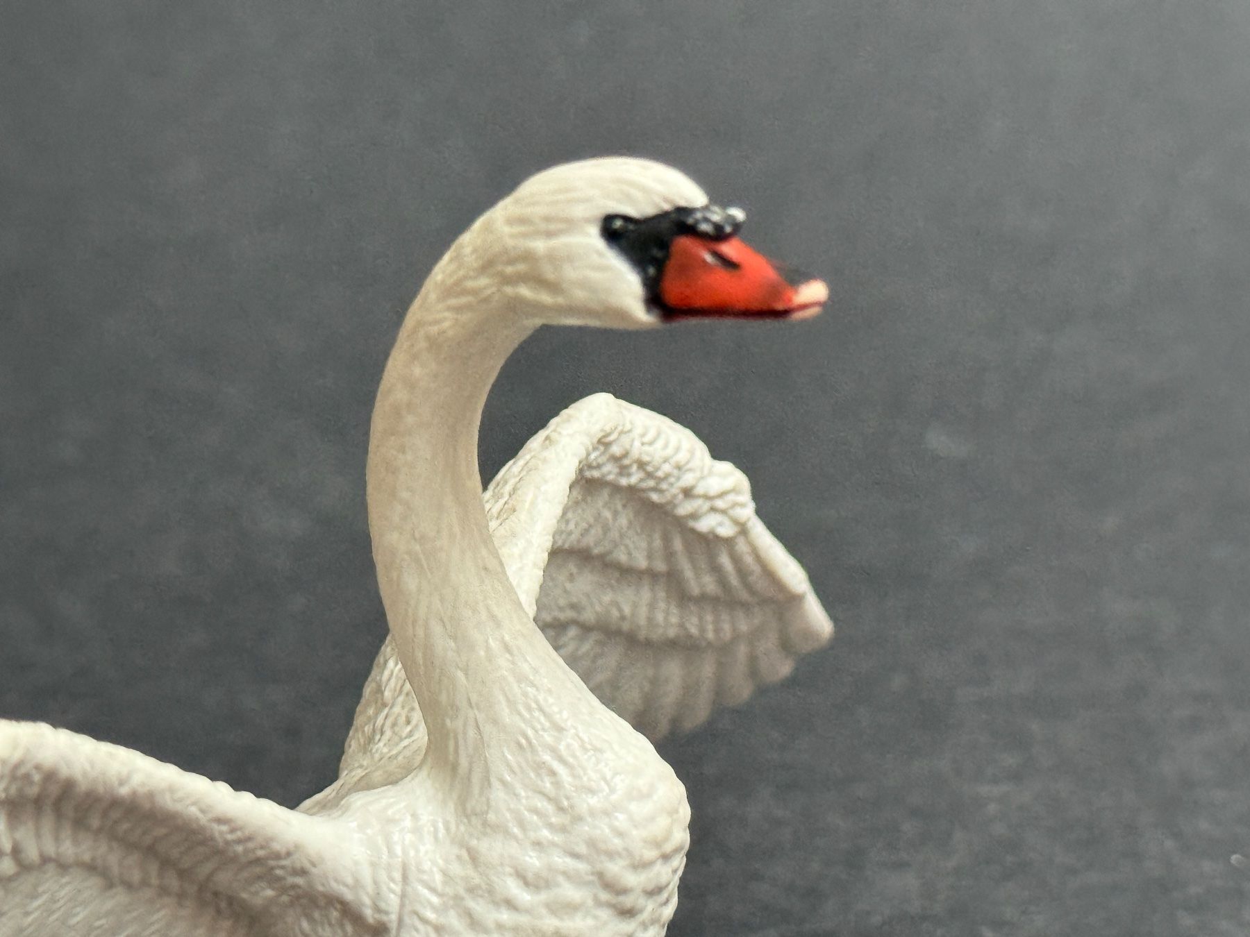 Schleich Statuette: Schleich 13614 Höckerschwan Schwan – Usato da Ennetbaden venduto da mapa05 3