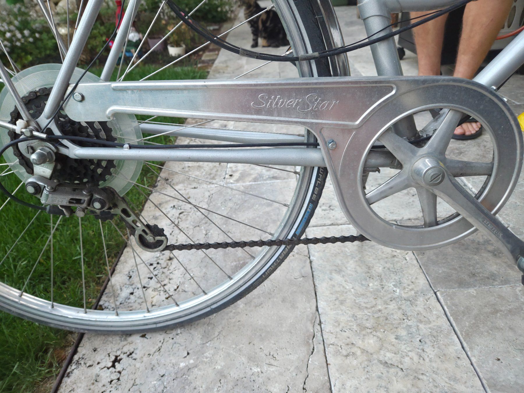 Cilo Biciclette: Cilo Damen Halbrenner – Usato da Riniken venduto da widmersteffi 5