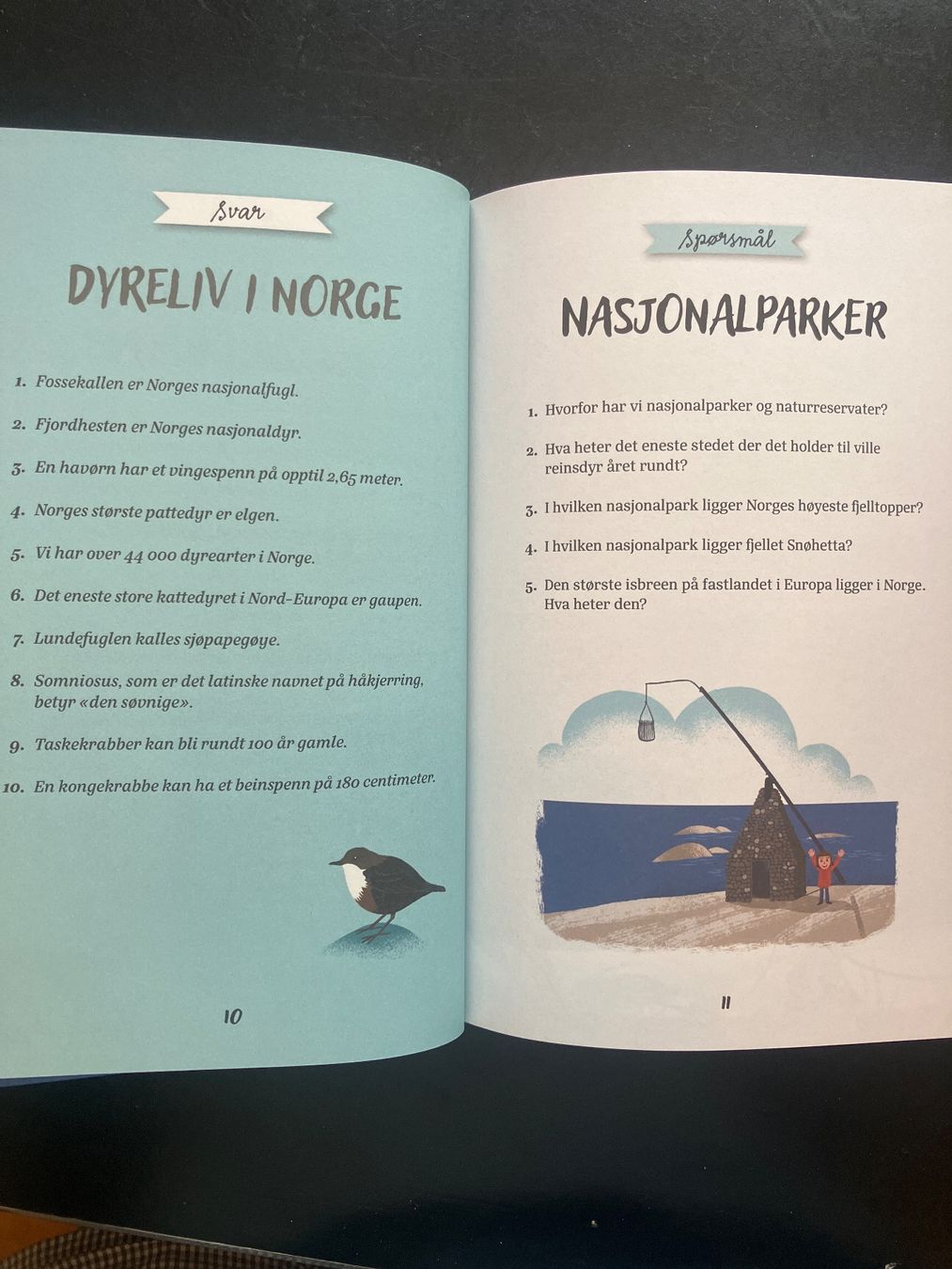 Bücher: Norges Quiz. Hva kan du om Norge? – Gebraucht aus Wangen ZH von day01 2