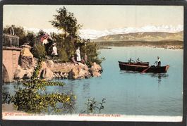^Zürichhorn und die Alpen , gel. 1906