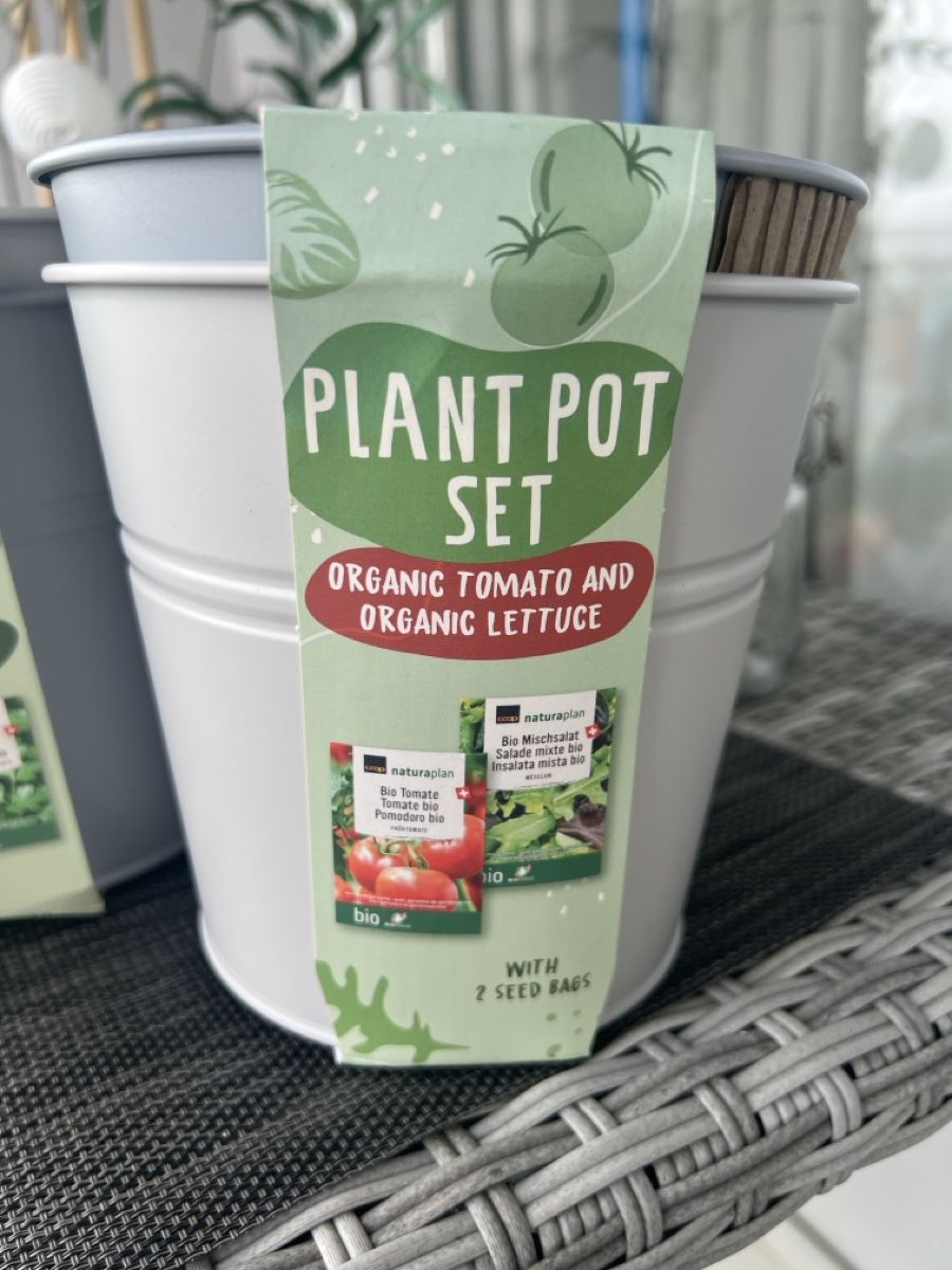 Vasi per fiori: Pflanztopf-Set 3x 2 Töpfe  – Usato da Rheinfelden venduto da kitty69 1