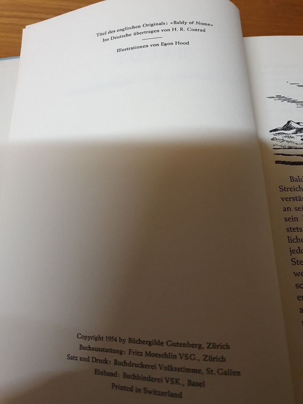 Libri: Baldy Geschichte eines Schlittenhundes – Usato da Oberdorf BL venduto da BaldenEagle 2