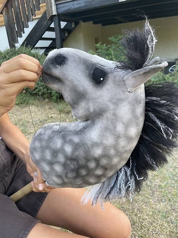 Spielzeuge: Hobby Horse HOCHWERTIG – Gebraucht aus Susten von Kht_formidable 4