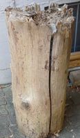 Spaltstock Holzstamm