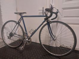 Rennvelo Trek 53 cm gebraucht