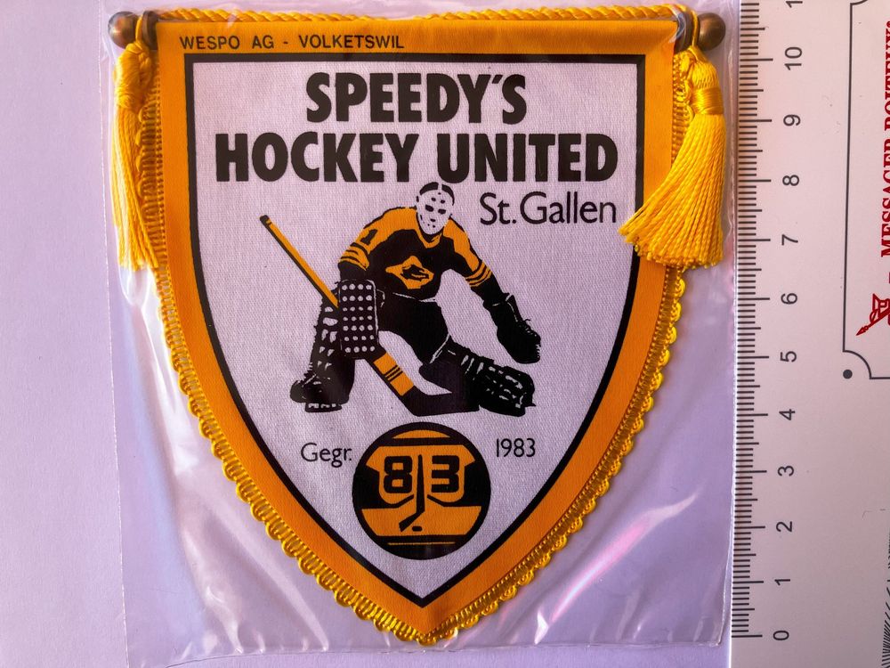 Fanion CSG Grenoble – Hockey Sur Glace, Vintage, Wimpel