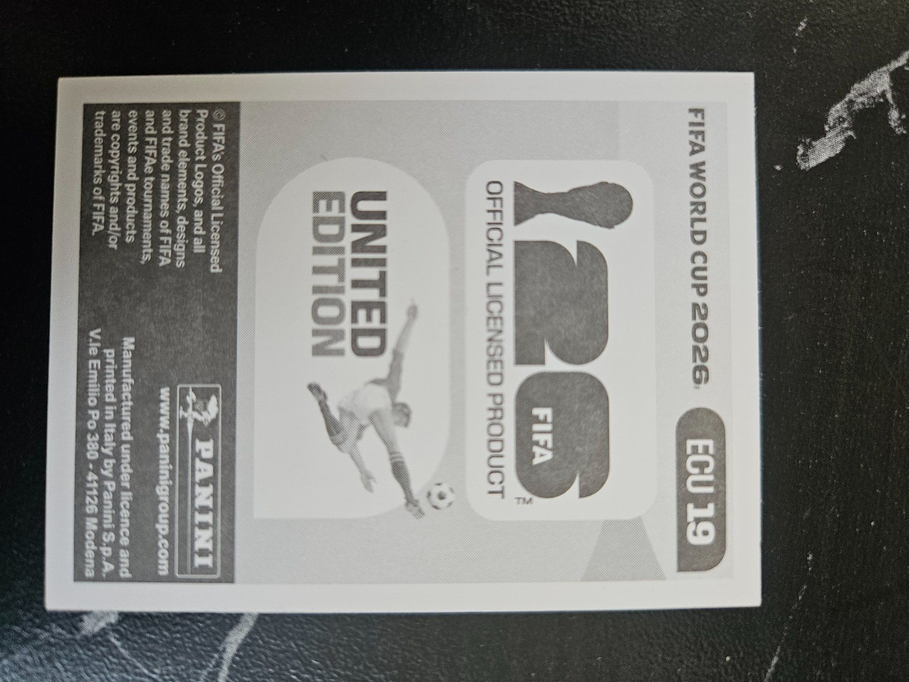 Panini Sammelbilder & Trading cards: ECU19 – Gebraucht aus Würenlingen von Dinli 1